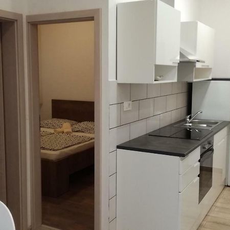 Appartma Katja Gabrovica pri Črnem Kalu Buitenkant foto